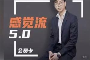 《感觉流5.0》天马情感恋爱课程网盘下载737.5MB
