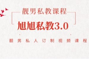 《旭旭私教3.0》靓男私人订制课程网盘下载8.9GB