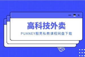 《高科技外卖》PUANEY靓男私教课程网盘下载7.9GB