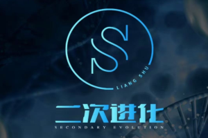 《二次进化》2022良叔线上视频课网盘下载3.8GB