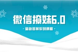 《微信撩妹6.0》蓝色答案撩妹课程网盘下载3.2GB