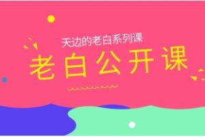 《老白公开课》天边的老白系列课网盘下载12.8GB