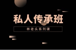 《私人传承班无印》林老头系列课网盘下载2.2GB