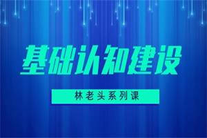 《基础认知建设》无印林老头系列课网盘下载1.3GB