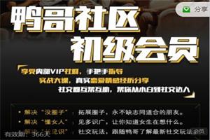 《鸭哥社区初级会员》鸭哥系列课网盘下载1.5GB
