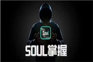 《SOUL掌握》社交光谱社长系列课网盘下载2GB
