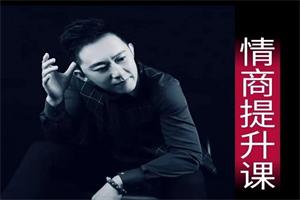 《情商武功提升课》程野业哥系列课网盘下载15.6GB