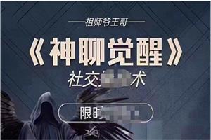 《神聊觉醒》王哥系列课网盘下载4.4GB