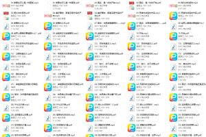 武志红2022年度大课：把事情做好的心理学课