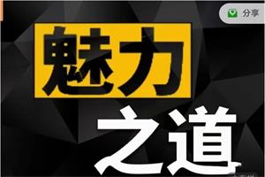 《魅力之道全板块》Leo系列课网盘下载2.7GB