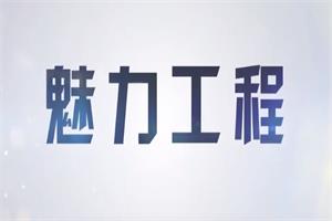 模块一《资源搜集》网盘下载1.1GB