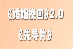 何丽娟《婚姻挽回2.0进阶版》网盘下载3.1GB