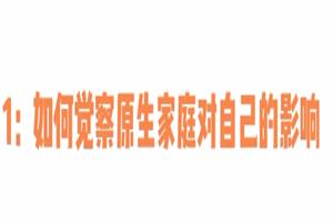 赛维原生家庭系列（13集视频）网盘下载109.3MB