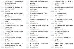 赛维高段课程二（39集音频）网盘下载1.1GB