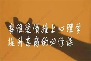 赛维《爱情撞上心理学，提升恋商的必修课》（13集视频）网盘下载19.9GB