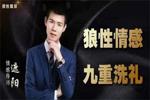 狼性情感遮阳《九重洗礼》网盘下载2.4GB