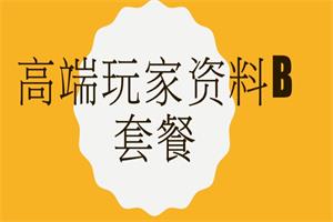 高端玩家资料B套餐网盘下载5.4GB