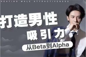 凯文《打造男性吸引力：从Beta到Alpha》网盘下载983.6MB