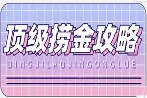 林夕老师《顶级捞金攻略》网盘下载1.3GB