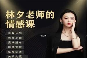 林夕老师《高质量关系课程》网盘下载4.8GB