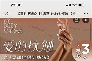 罗南希《爱的抚触》训练营1+2+3模块网盘下载3.1GB