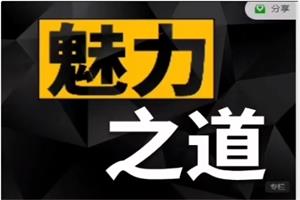 Leo《魅力之道》标准版下载2.5GB
