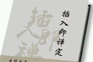 《插入即禅定》PDF电子版下载156.3MB