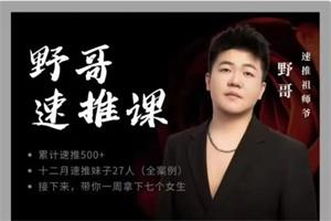《野哥速推课》网盘下载819.2MB
