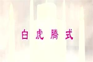 七十二式视频真人演示网盘下载1.9GB