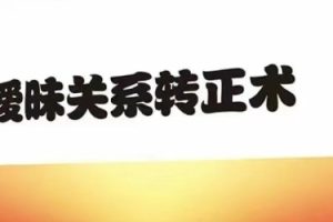 《暧昧关系转正术》pdf电子版