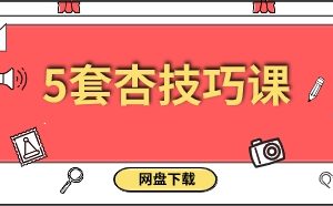 5套杏技巧课下载690.8MB