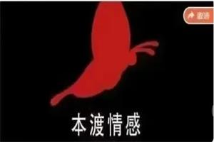 本渡情感《普通男性升阶之道》9节下载