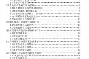 持久延时手册PDF