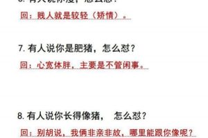 《怼人话术500例 》PDF