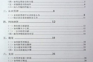 绿茶女在恋爱中的心机PDF