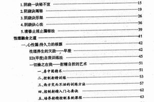 两性终极互补术PDF