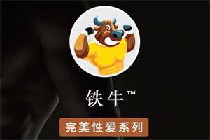 铁牛延时训练高级VIP课程（网盘下载）1.5GB