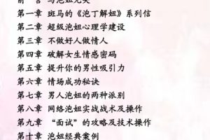 泡丁解妞2