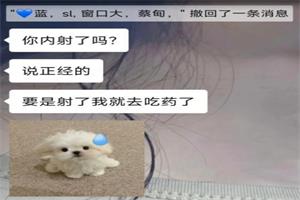 youtube表哥速约教学2025年4月更新（网盘下载）16.1GB