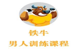 铁牛会员课程（网盘下载）1.5GB