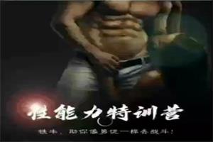 铁牛踹技特训营（网盘下载）1.4GB