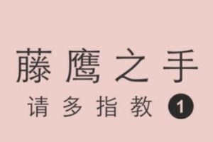 罗南希《藤鹰之手请多指教》价值499