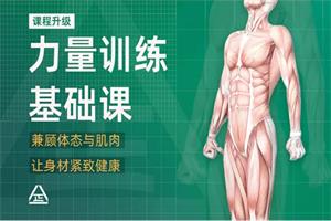 一介粗人x麦大湿《男性力量训练课程》网盘下载