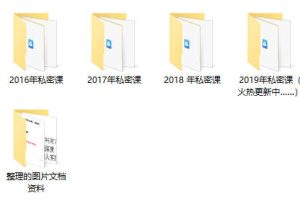 痴情叔全套课程