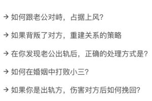 《反出轨指南》PDF