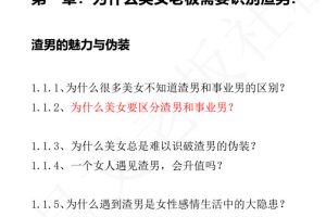 陈昌文《顶级鉴渣指南》PDF