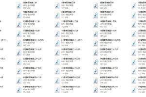 老娄《强者思维》50讲