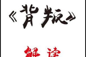 《背叛》解读PDF
